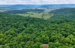 Fire Tower Road, Sparta, TN 38583