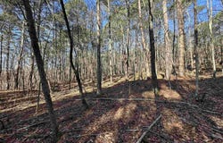 Bear Mountain Road, Prim, AR 72130