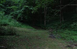 78 Rochetti Drive, CRUMPLER, WV 24868