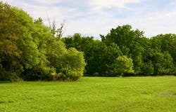 Highway 65, River Falls, WI 54022