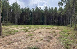 17706 Copper Pass lot: 37, Livingston, LA 70754