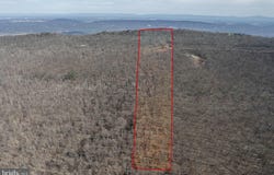 951 BOBCAT TRL, WINCHESTER, VA 22602