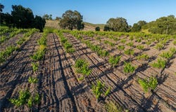 3750 W Highway 46, Templeton, CA 93465