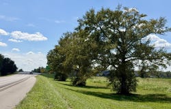 Union Road, Picayune, MS 39466