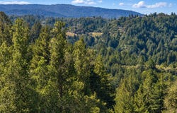 SOQUEL, CA 95073