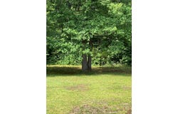 5136 Black Walnut Road, Randolph, VA 23962