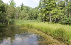 4573 N Able Road, Irons, MI 49644