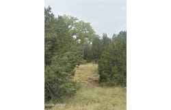 3 Littler Drive, Concho, AZ 85924