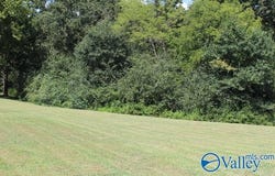 302 County Road 1836, Arab, AL 35016