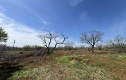 260 County Road 2662, Moore, TX 78057
