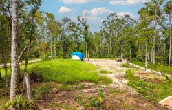 348 SW 123rd Ave, Steinhatchee, FL 32359