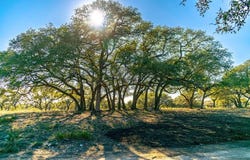 N US Hwy 281, Blanco, TX 78606