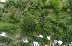 Mamey, Guaynabo, PR 00971