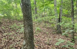 id13 Lakeview Trail, HOLLADAY, TN 38341