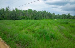 Son Thomas Road, Patterson, GA 31516