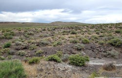 007-021-58 APN, Fallon, NV 89406