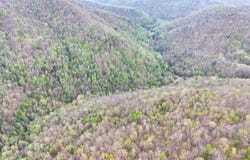 Dryfork Road, Helton, KY 40840