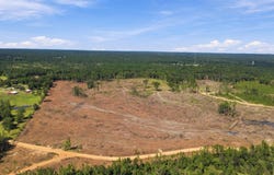 80 MOL AC Dean Turner Ext, Leakesville, MS 39451