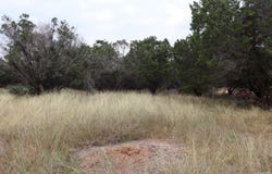 24 Quiet Meadow Cir, Wimberley, TX 78676