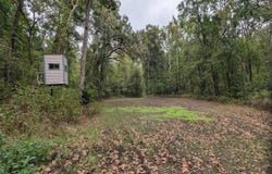 5740 SE 731 Road, Collins, MO 64738