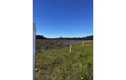 1291 Cockfield Rd., Scranton, SC 29591