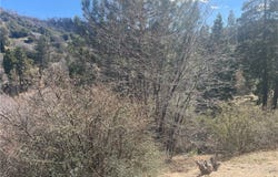 Pine Drive, Cedar Glen, CA 92321