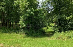 7 Eagles Fair, Glencoe, AL 35905