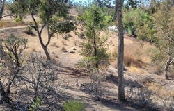 Retreat Parkway, Corona, CA 92883