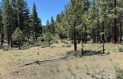 15651 Marcee Way, Chiloquin, OR 97624
