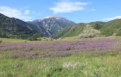 9133 ELDERBERRY Ln, Sundance, UT 84604