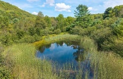 212 Morrell Road, Worcester, NY 12197