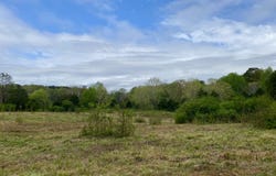 0 Highway 25, Vincent, AL 35178