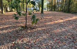 56 Mobjack Ln, Hayes, VA 23072