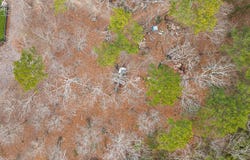 4012 Nottaway Road, Durham, NC 27707