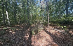 Dixie Hill Rd lot: 5, Buckingham, VA 23921