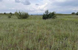 7505 HIGHGROVE, WILLIAMSBURG, MI 49650