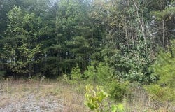 Mountain View Lane lot: 155, Wilder, TN 38589