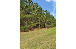 County Road 33, Louisville, AL 36048