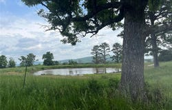 2412 County Road 53, Belleview, MO 63623