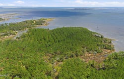 Upper Neck Road, Bayboro, NC 28515