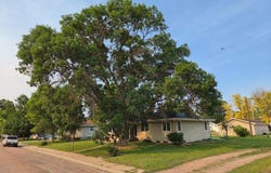 807 Hancock Ave., Grant, NE 69140