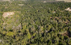 W Fm 489, Teague, TX 75860