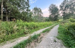 N Brookland Rd, Ulysses, PA 16948