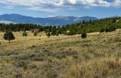 1054 Keepsake Lp, Westcliffe, CO 81252