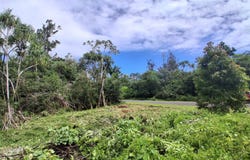 MOANA ST, Pahoa, HI 96778