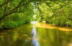 25 W River Run Dr, Franklin, NC 28734