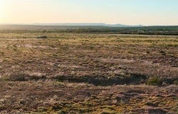 County Road, Turkey, TX 79261