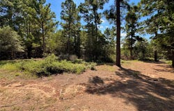 445 Pine Valley Loop, Smithville, TX 78957