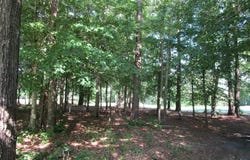 Roanoke Drive W lot: 1, Hertford, NC 27944