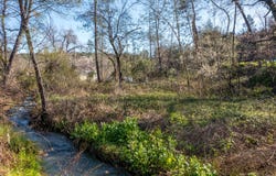 Bear Mountain Road, Redding, CA 96003